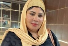 سلام مفروض…. وخسارة مؤكدة لاقتصاد الحرب والمجموعات المتطرفة