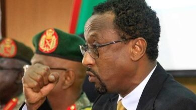 الإعيسر يهاجم شعارات الديمقراطية والثورة